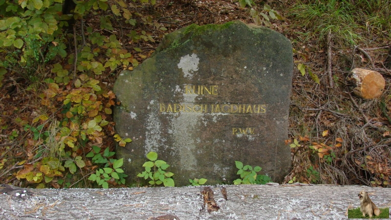 Ritterstein Nr. 242-2a Ruine Badisch Jagdhaus.JPG - Ritterstein Nr.242 Ruine Badisch Jagdhaus (Muss das sein)